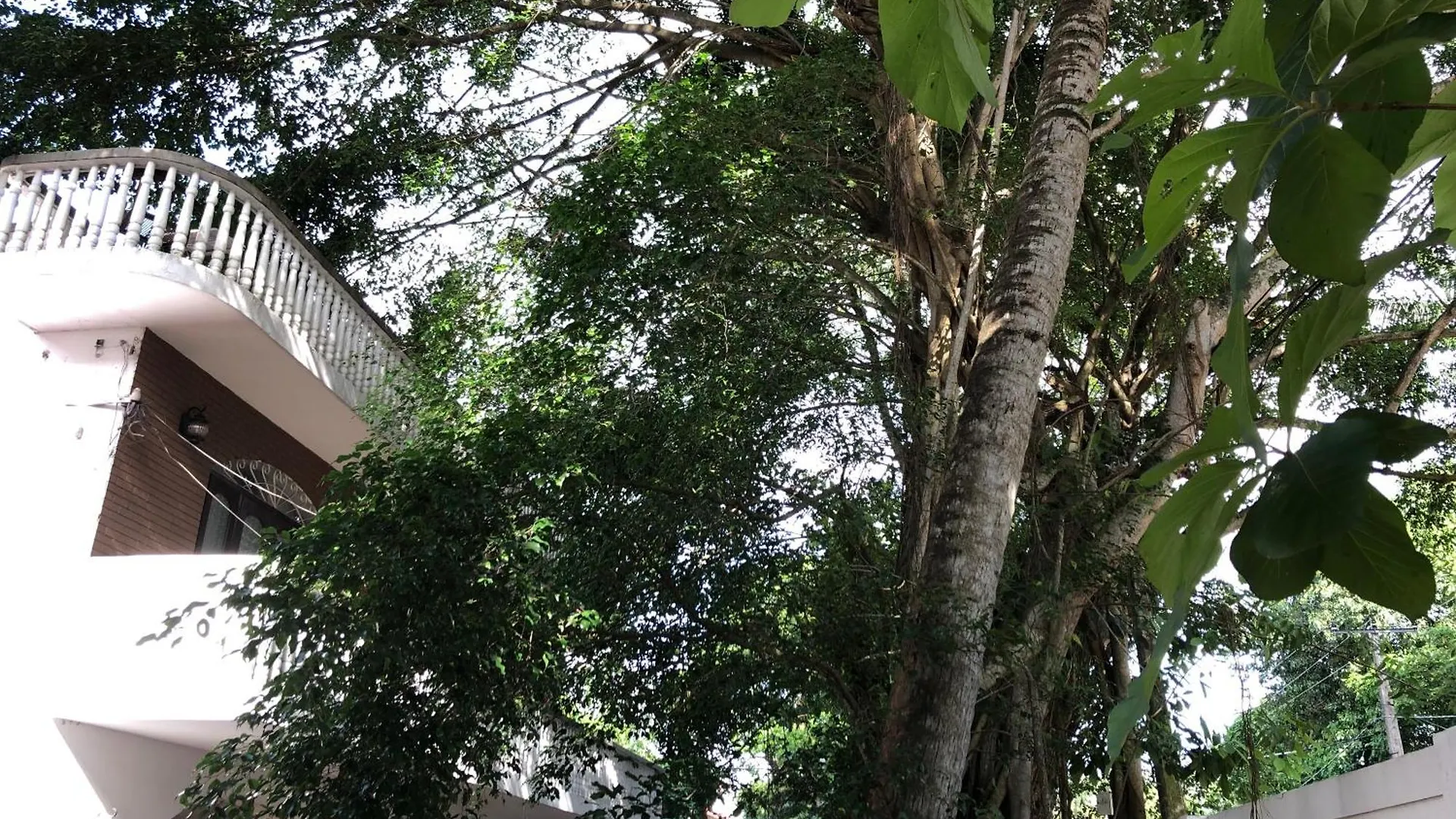 Kwatera prywatna Murphy'S Villa Katunayaka